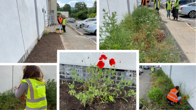 Volunteering in the Community