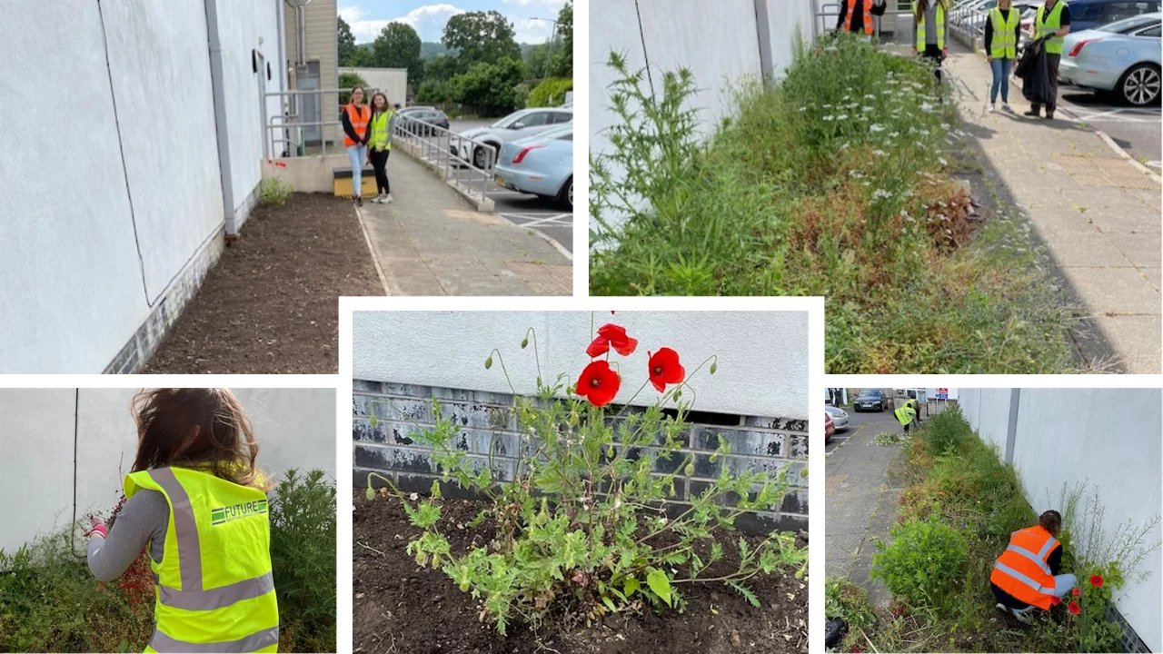 Volunteering in the Community